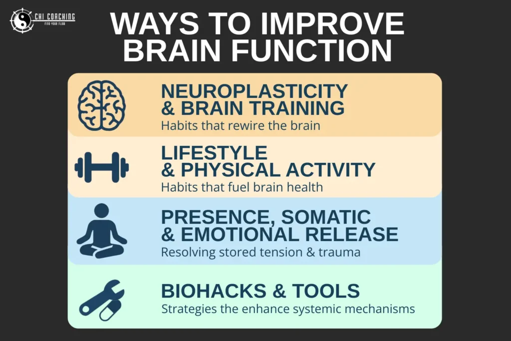 Infographic titled "Ways to Improve Brain Function" showing five categories: Neuroplasticity & Training, Lifestyle & Physical Activity, Presence & Emotional Release, Supplements & Neuroprotectives, and Biohacks & Tools.